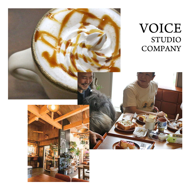 VOICE STUDIO COMPANY